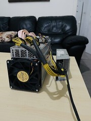 Bitmain Antminer L3+ 504 MH/s Crypto Miner Litecoin DOGECOIN SCRYPT and PSU