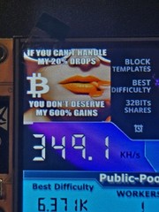 Nerdminer V2 350KH/s ☆Sexy 600% Meme Edition☆ Bitcoin Solo Nerd Miner + Case