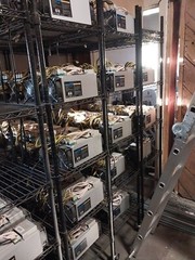 Litecoin Miners Mining Hardware Whole Lot