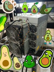 BITMAIN ANTMINER S19 95th — ALL AVOCADOS!