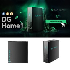 DE USA New DG Home 1 2.1GH/s 2100MH/s 630W LTC DOGE Scrypt ASIC Miner